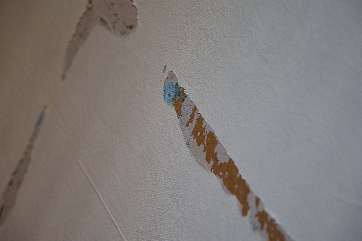 Mold Remediation service in Dubuque, IA